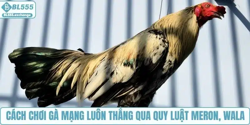 Cách chơi gà mạng luôn thắng qua quy luật Meron, Wala