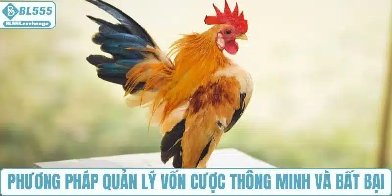 Phương pháp quản lý vốn cược thông minh và bất bại